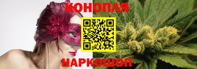 a pvp Кандалакша
