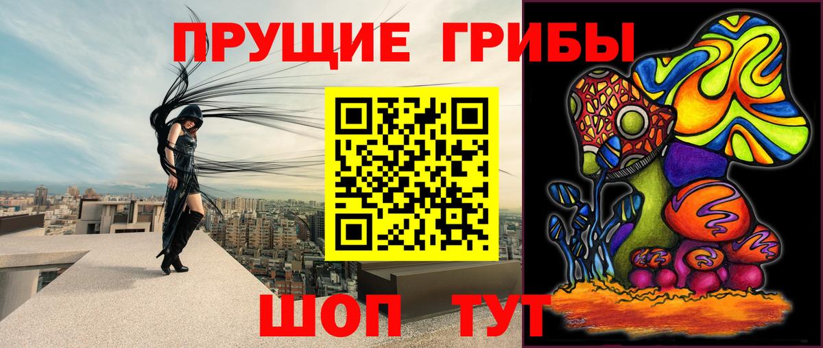 Псилоцибиновые грибы прущие грибы  Вход с VPN  магазин продажи   Лесной 