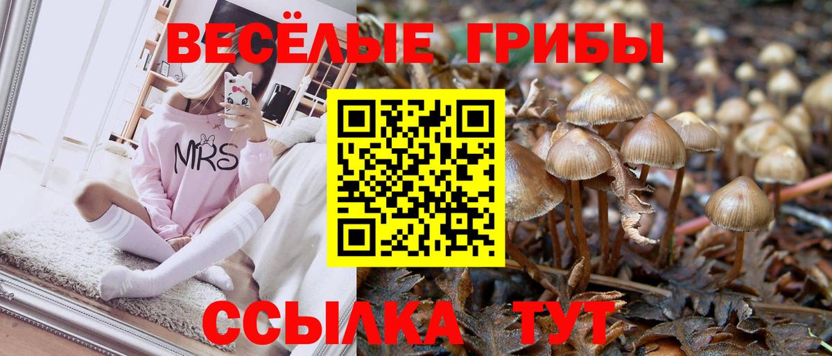 Галлюциногенные грибы Cubensis Лесной